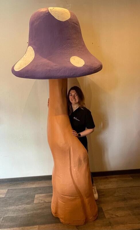 Giant Mushroom - Purple & White