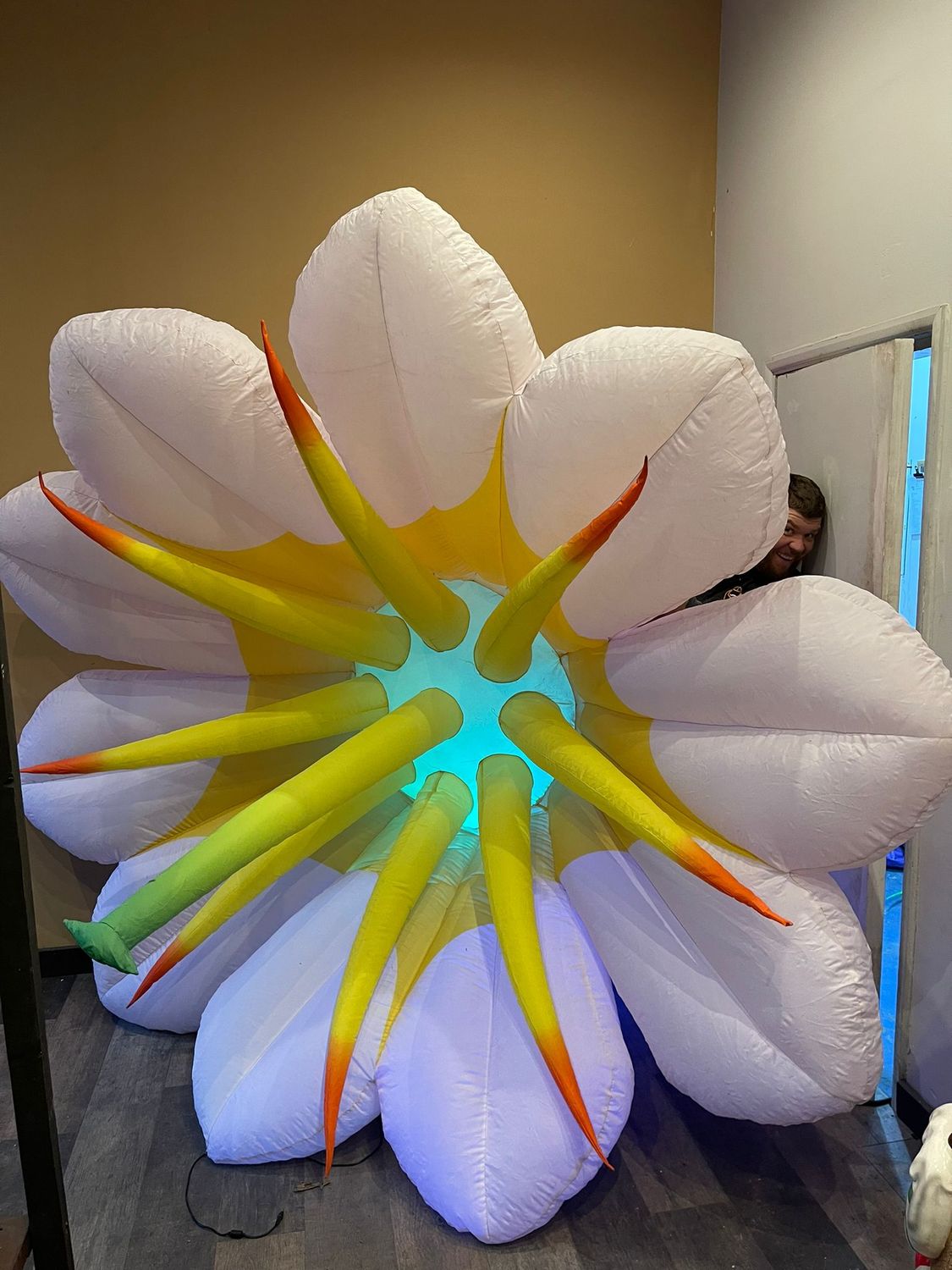 Flowers - Giant Inflatable Daisy