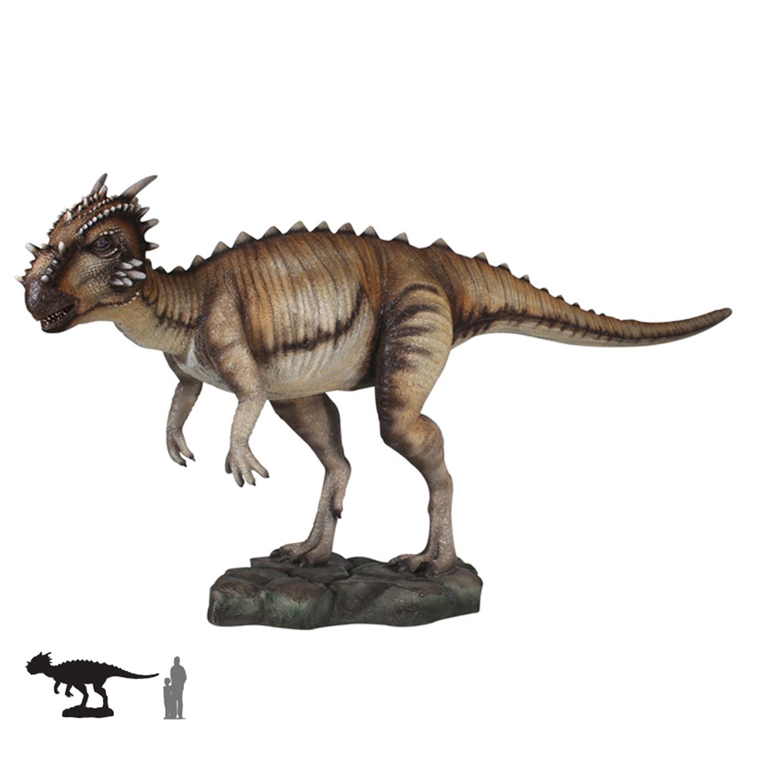 Dinosaur - Dracorex
