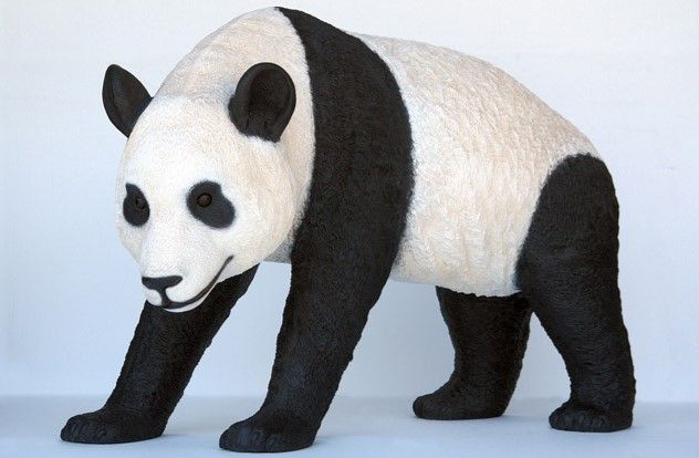 Panda Bear