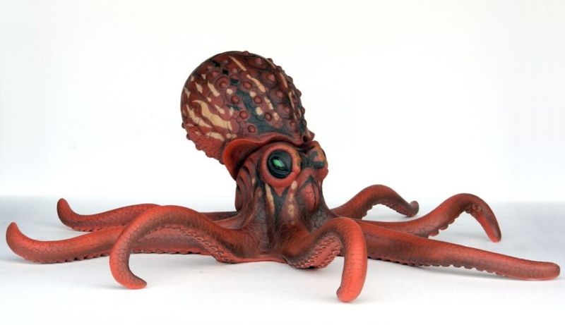 Octopus