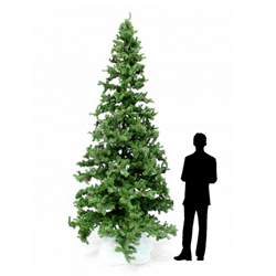 12ft Christmas Tree