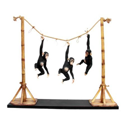 Chimpanzee