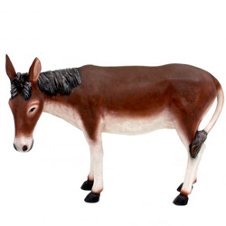 Mule