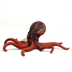 Octopus