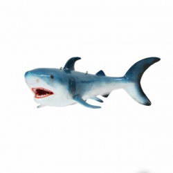 Shark