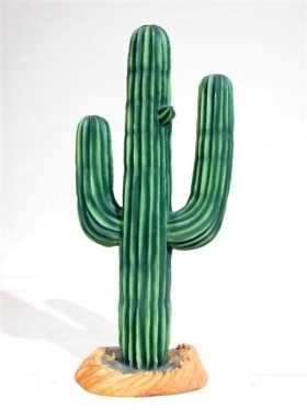 Cactus Plant