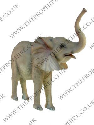 Baby Elephant