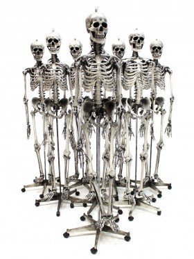Skelton