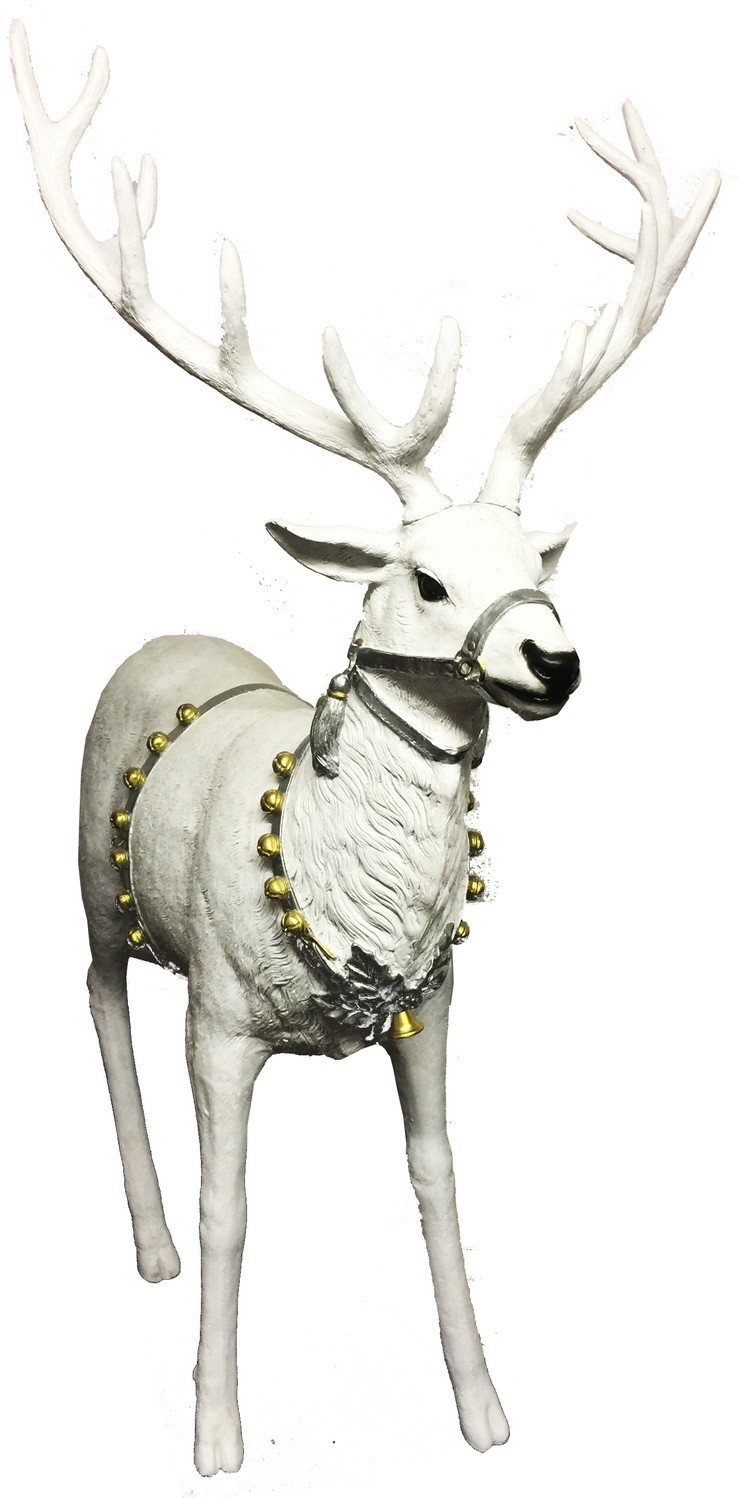 Reindeer