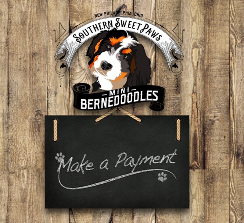 Payment on Puppy
