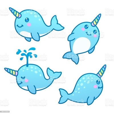 Narwhal - Unicorn of the sea