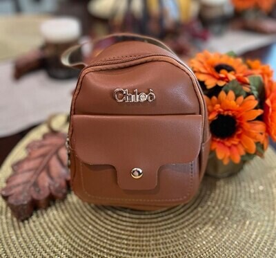 Mini Backpack purse - Brown