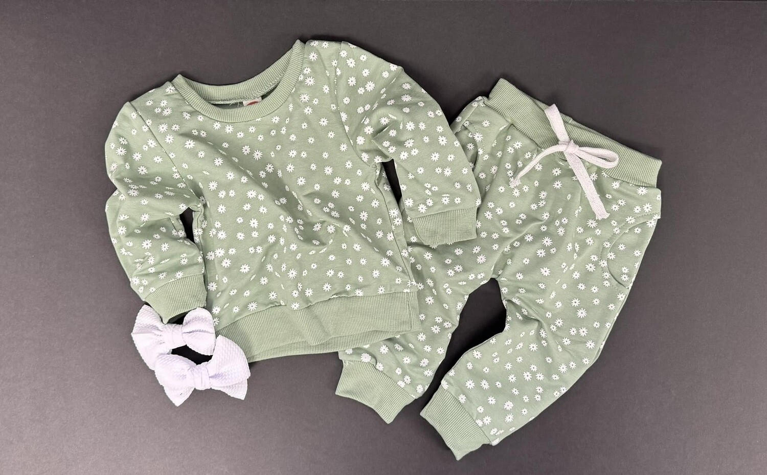 Sage Daisy Jogger Set - 12/18mo