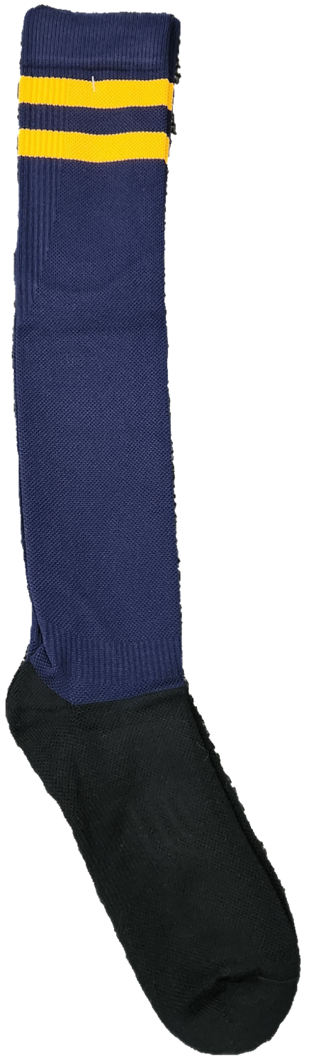 Rugby Socks Regular