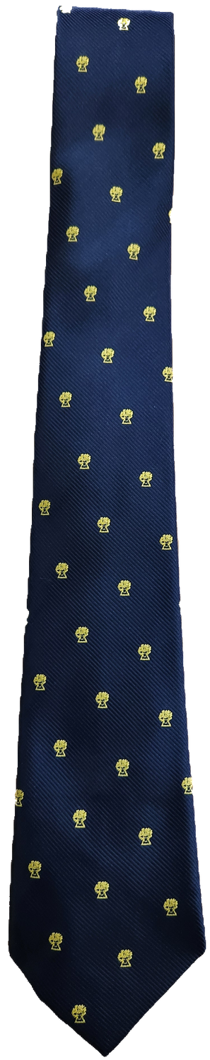 Tie Seniors 11 - 12