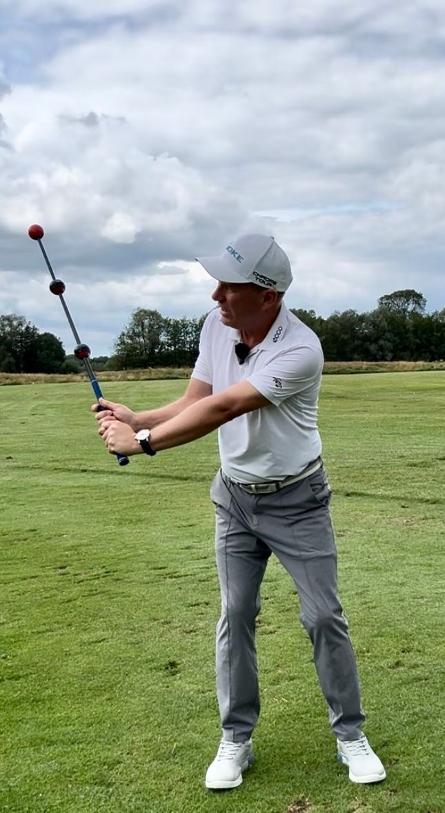 Leadbetter Swingsetter