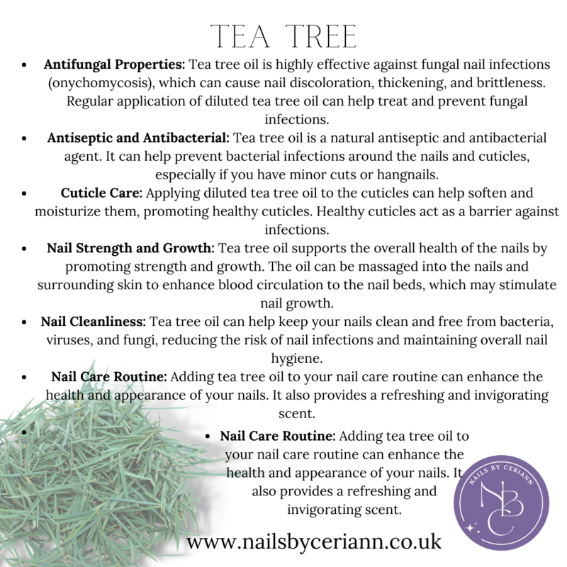 Tea Tree Cuticle Oil