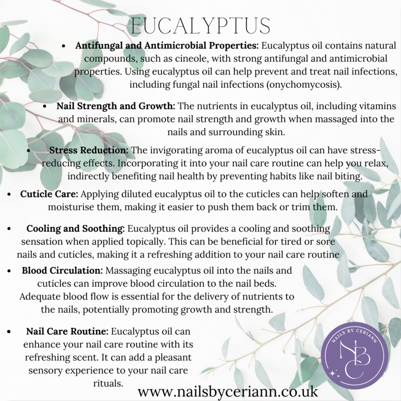 Eucalyptus Cuticle Oil