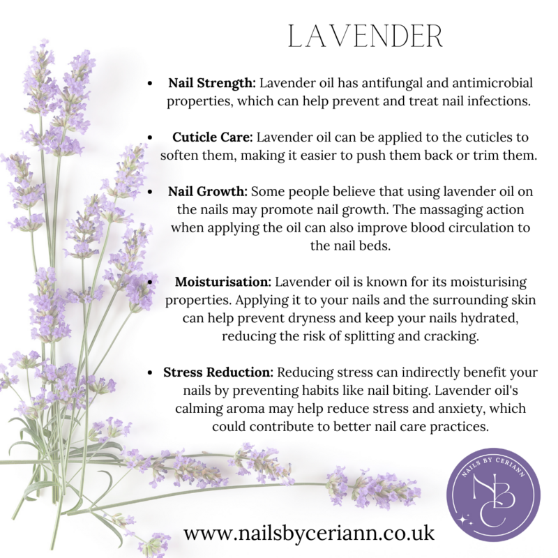 Lavender Cuticle Oil