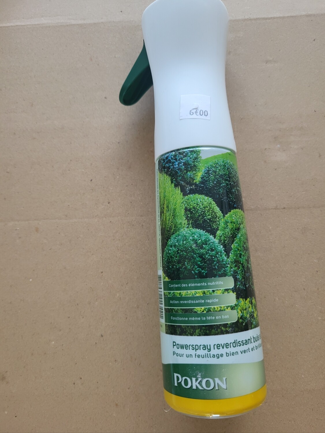 POKON SPRAY REVERDISSANT BUIS ET CONIFÈRES 300 ML