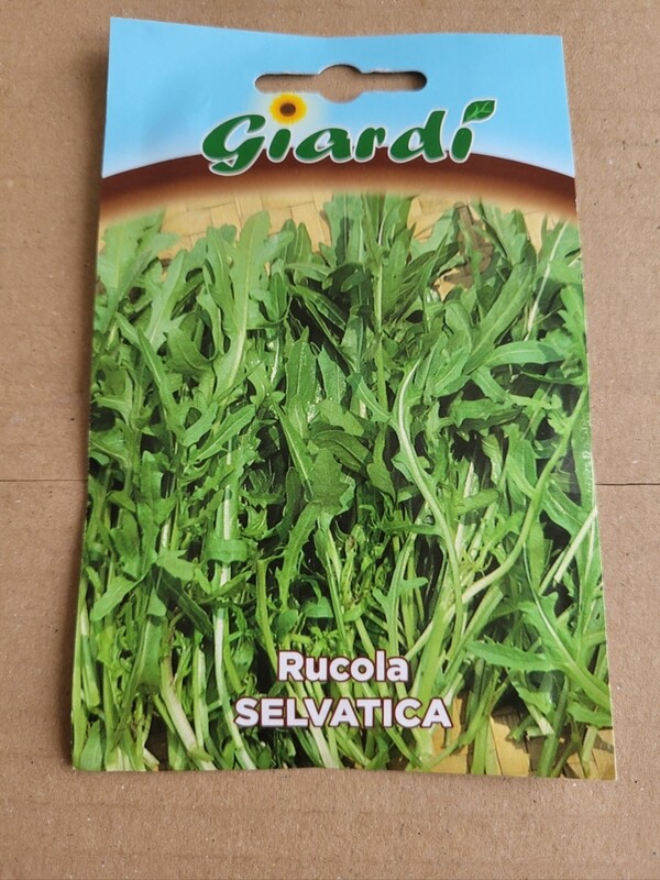 GRAINES DE ROQUETTE SAUVAGE