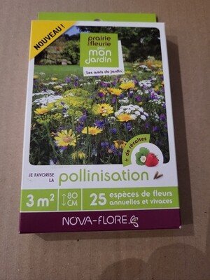 GRAINES DE FLEURS NOVA FLORE " POLLINISATION "