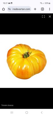 TOMATES ANANAS SACHET DE 25 GRAINES NON F1