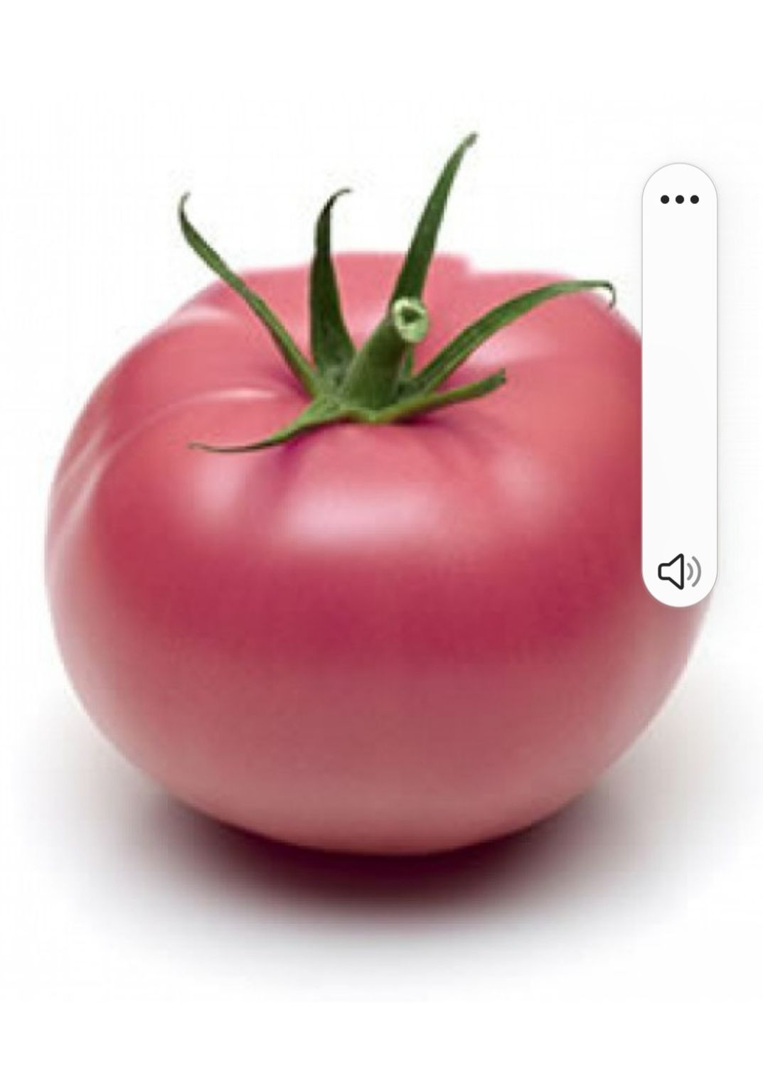 TOMATES ROSE DE BERNE SACHET DE 25 GRAINES NON F1
