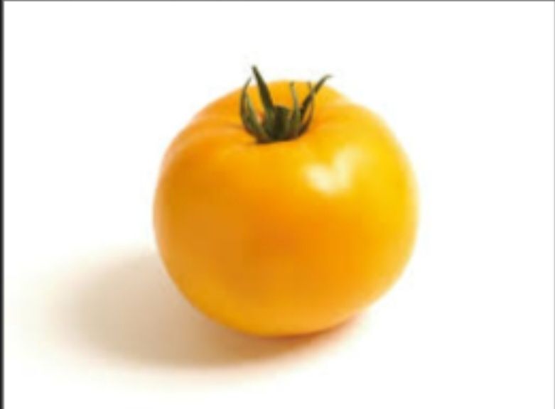 TOMATES JAUNES SACHET DE 25 GRAINES NON F1