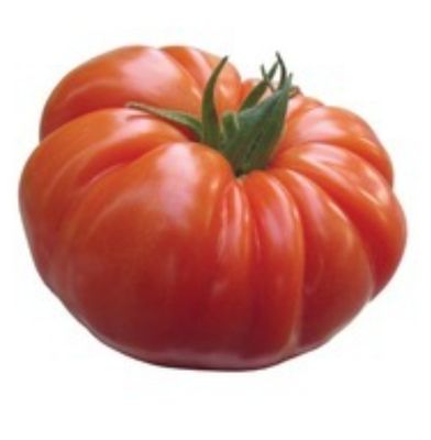 TOMATES BUFFALO STEAK SACHET DE 25 GRAINES NON F1