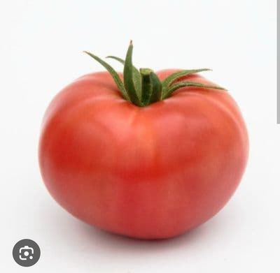 TOMATES SAINT-PIERRE SACHET DE 25 GRAINES NON F1