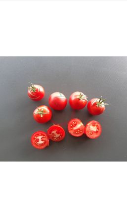 TOMATES GLOIRE DE VERSAILLES SACHET DE 25 GRAINES NON F1