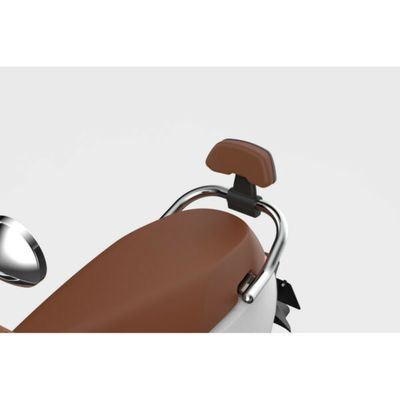 Dosseret passager avec coussin brun pour Segway E125S / E300