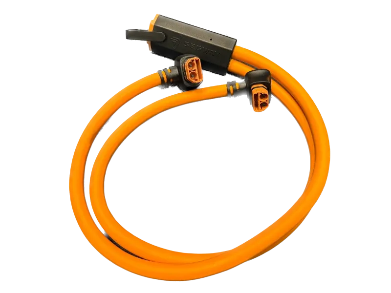 Câble de charge eScooter en Y pour E125S