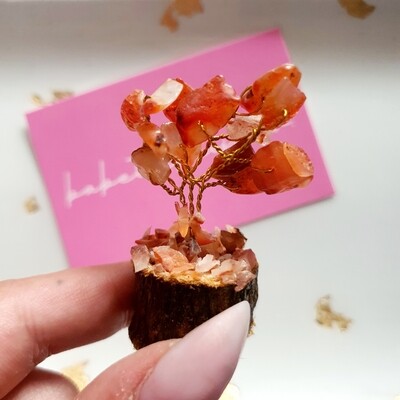 Edelsteenboompje × Carneool | geeft kracht, moed en energie