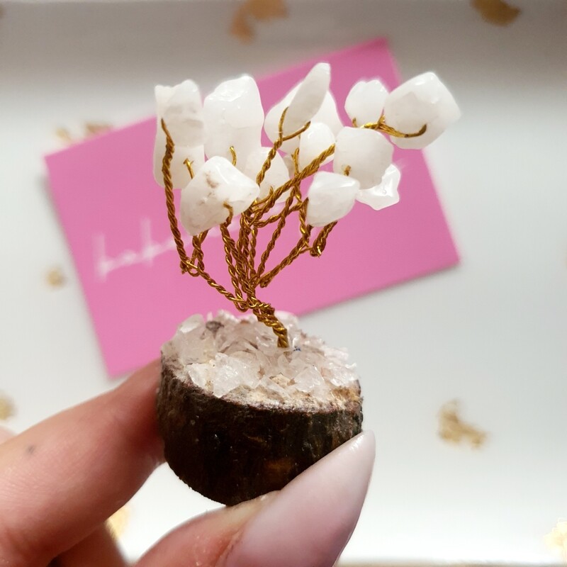 Edelsteenboompje × Witte kwarts Edelsteenboompje × Witte kwarts