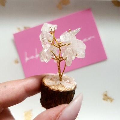 Edelsteenboompje × Bergkristal | helend, reguleert energie, pijnstillend