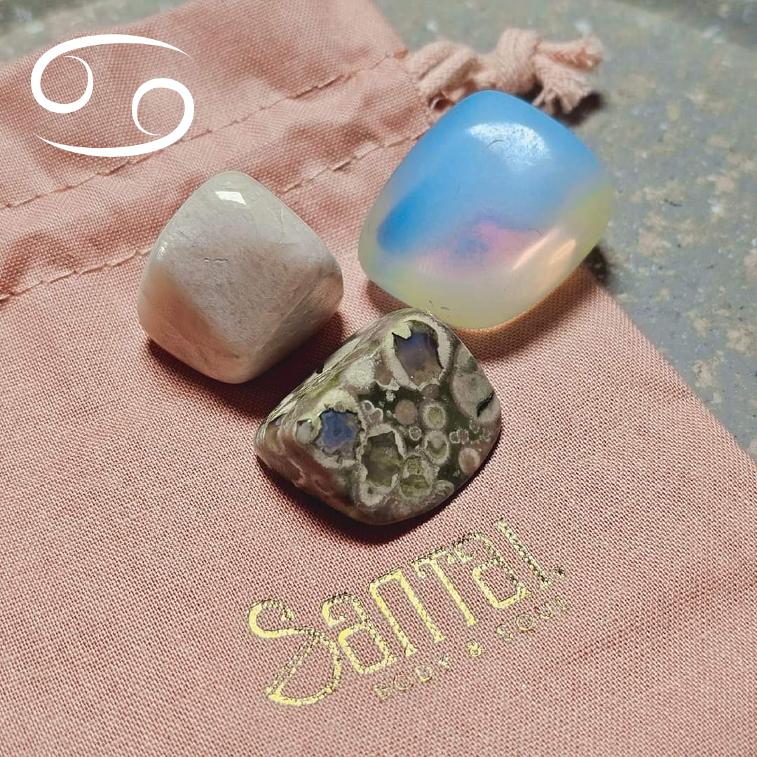 Set × Kreeft