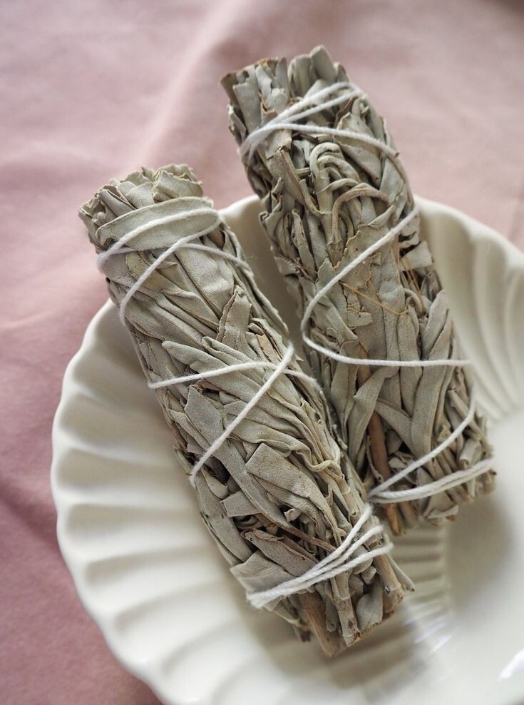 Smudge × White Sage