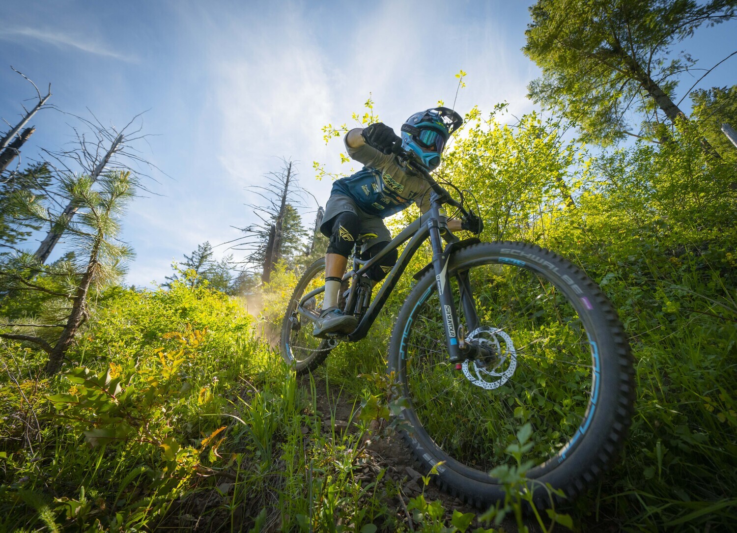 Store - Jamis® Bikes