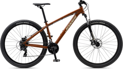 Dragon 29