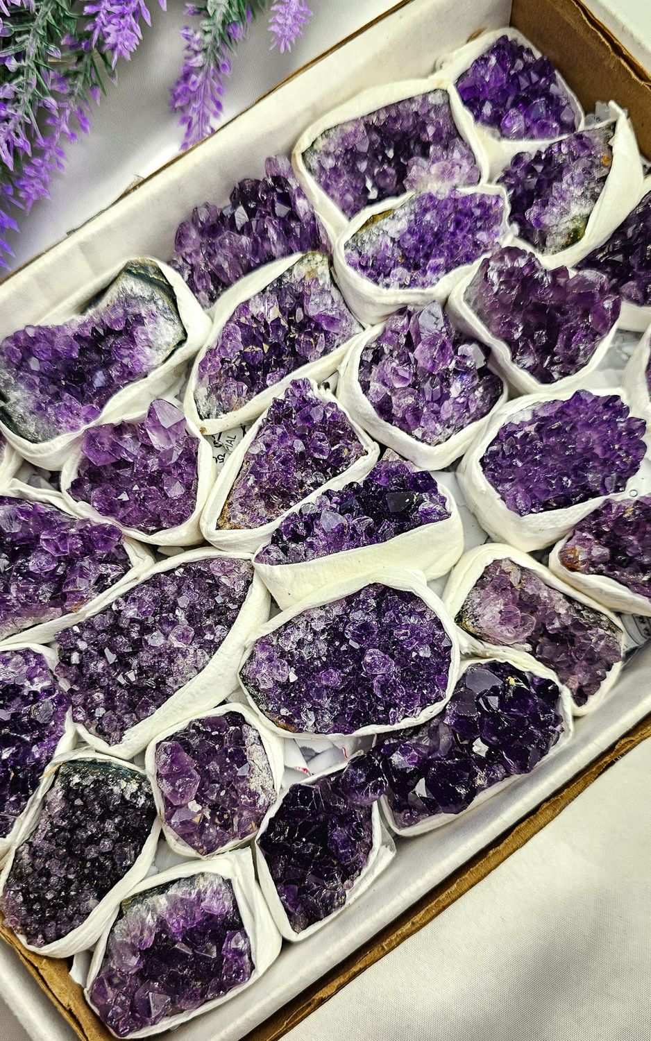 Amethyst Cluster (Small)