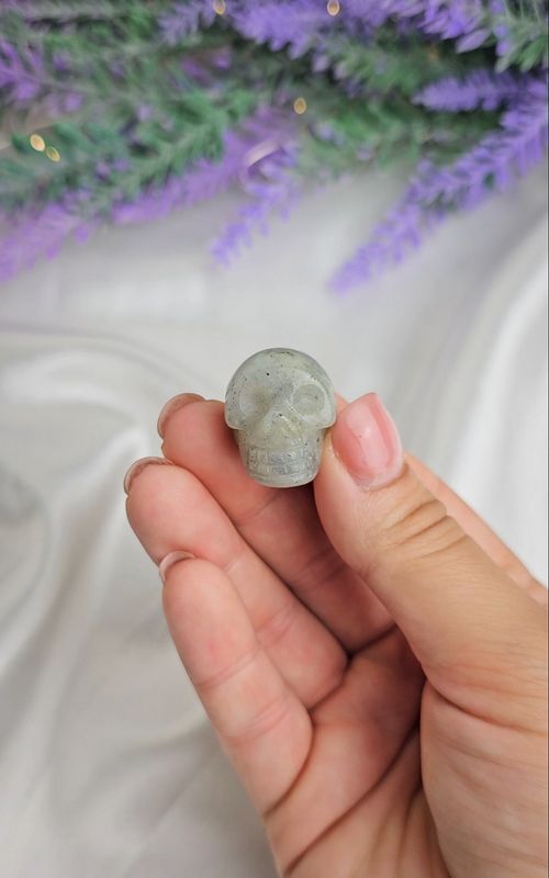 Grey Labradorite Skull