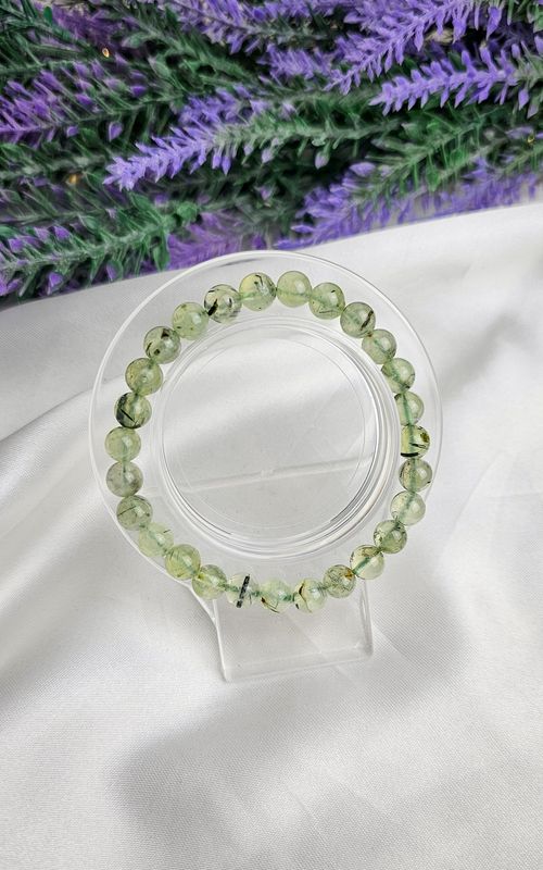 Elastic Bracelet in Prehnite (6mm)