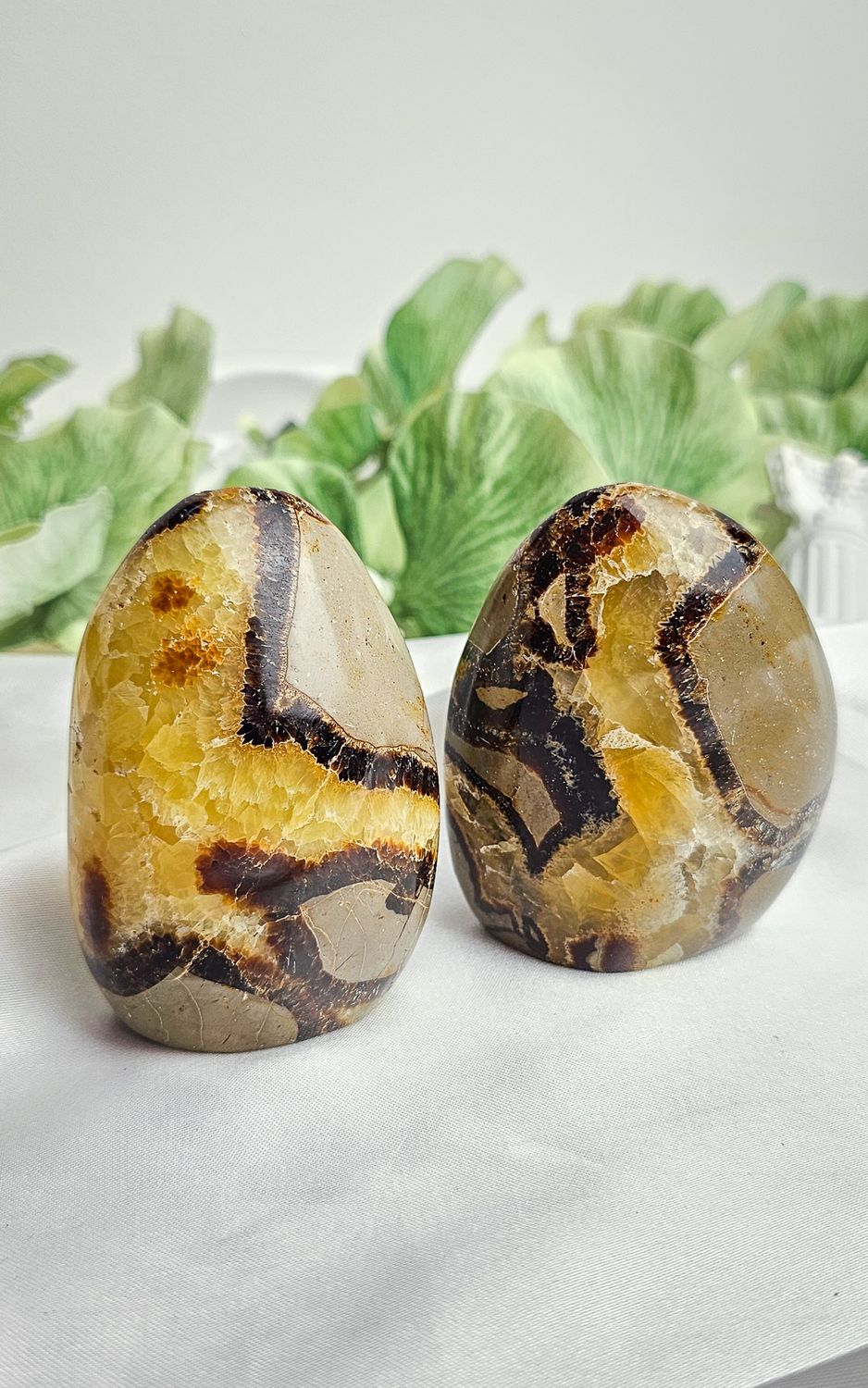 Septarium Standing Freeform