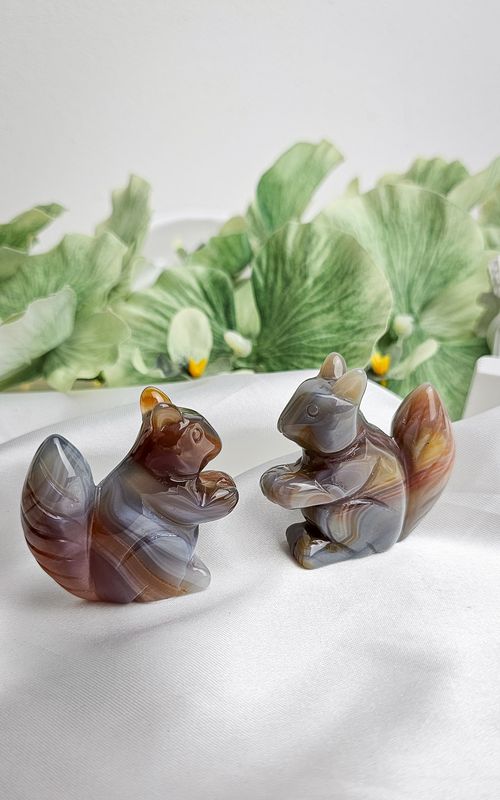 Squirrel in Grey Agate with Carnelian