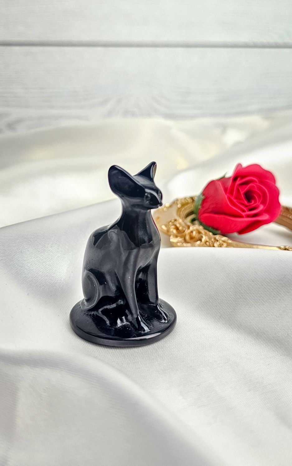 Black Obisidian Sphynx Cat (Big)