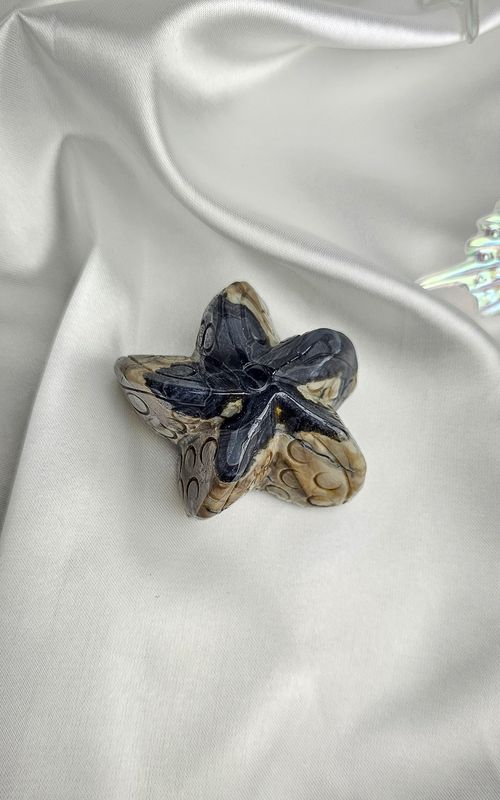 Volcano Agate Starfish