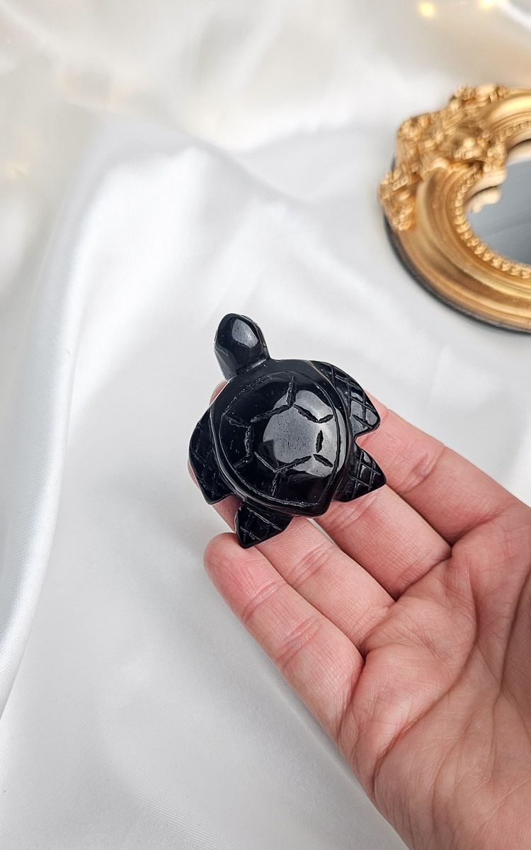 Black Obisidian Turtle